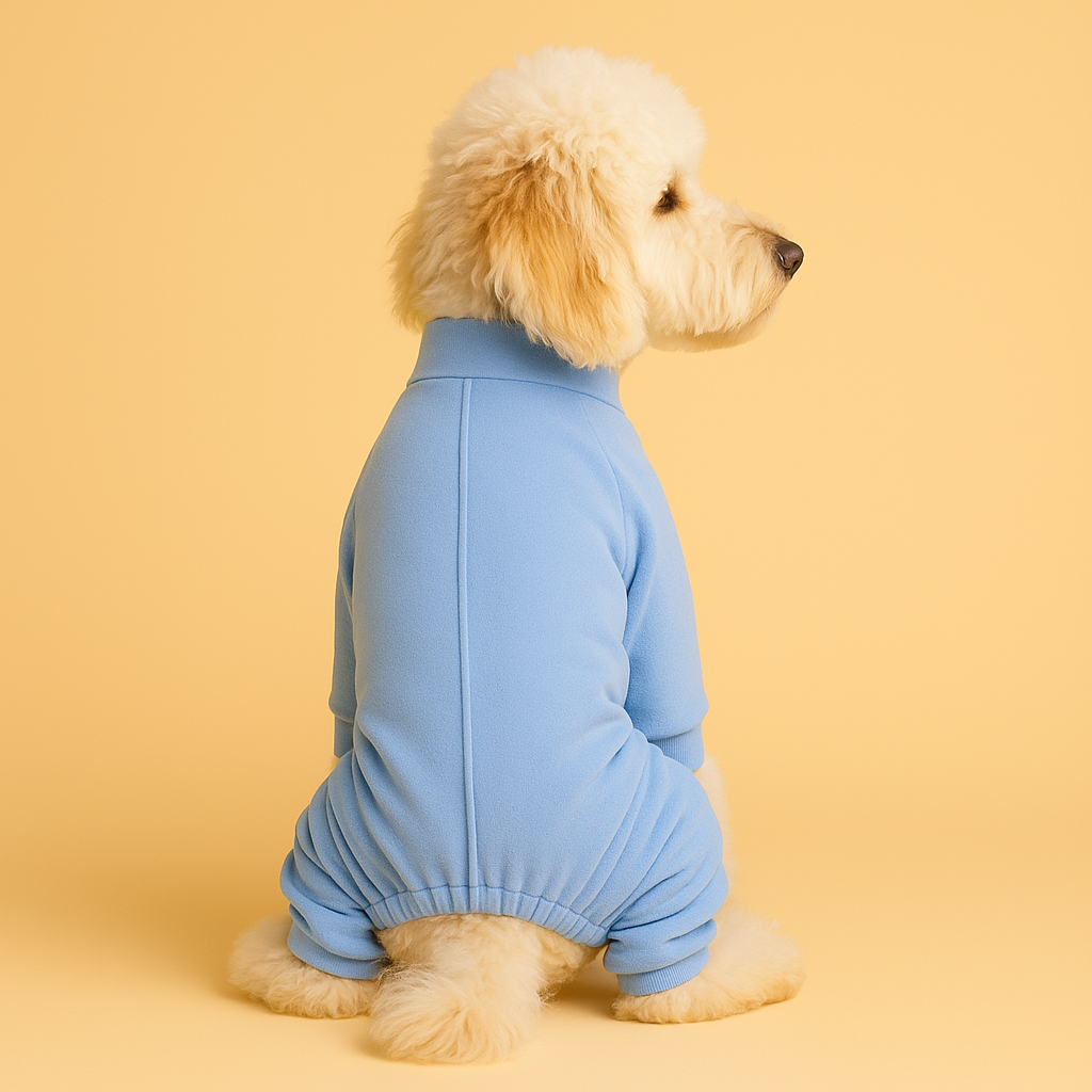 A dog wearing a light blue pijama on a beige background